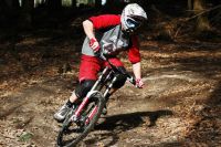 Foto: Almut Harmening
Dateiname: sunn_radical_almut_harmening.jpg