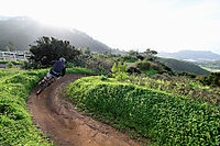 Tenerife 2010
Dateiname: tenerife3.jpg
