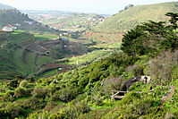Tenerife 2010
Dateiname: tenerife4.jpg