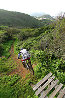 Tenerife 2010
Dateiname: tenerife5.jpg