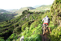 Tenerife 2010
Dateiname: tenerife7.jpg
