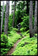 traumtrail
Dateiname: vier.JPG
