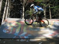 Cranck it Up
Dateiname: whistler_9.jpg