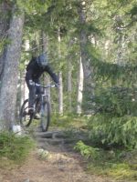 Wurzel-pass�gchen
Dateiname: wurzel_pass_gchen.JPG