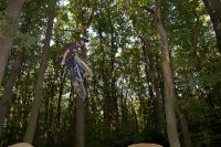 whip
Dateiname: 04.jpg