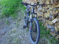 my bike
Dateiname: PICT0018.JPG