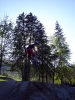 paar h�pfer ende April
Dateiname: geiskopf4.jpg