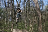 X-up
Dateiname: img4413nb0.jpg
