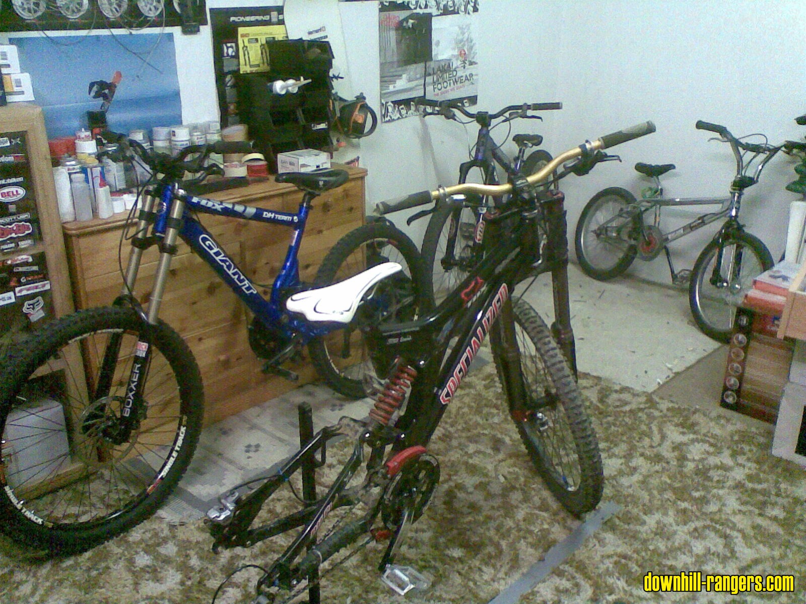 Bild249