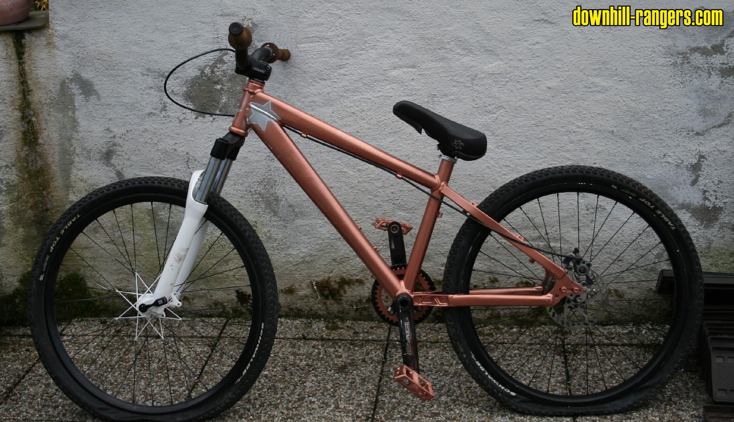 cowan_neu2s
