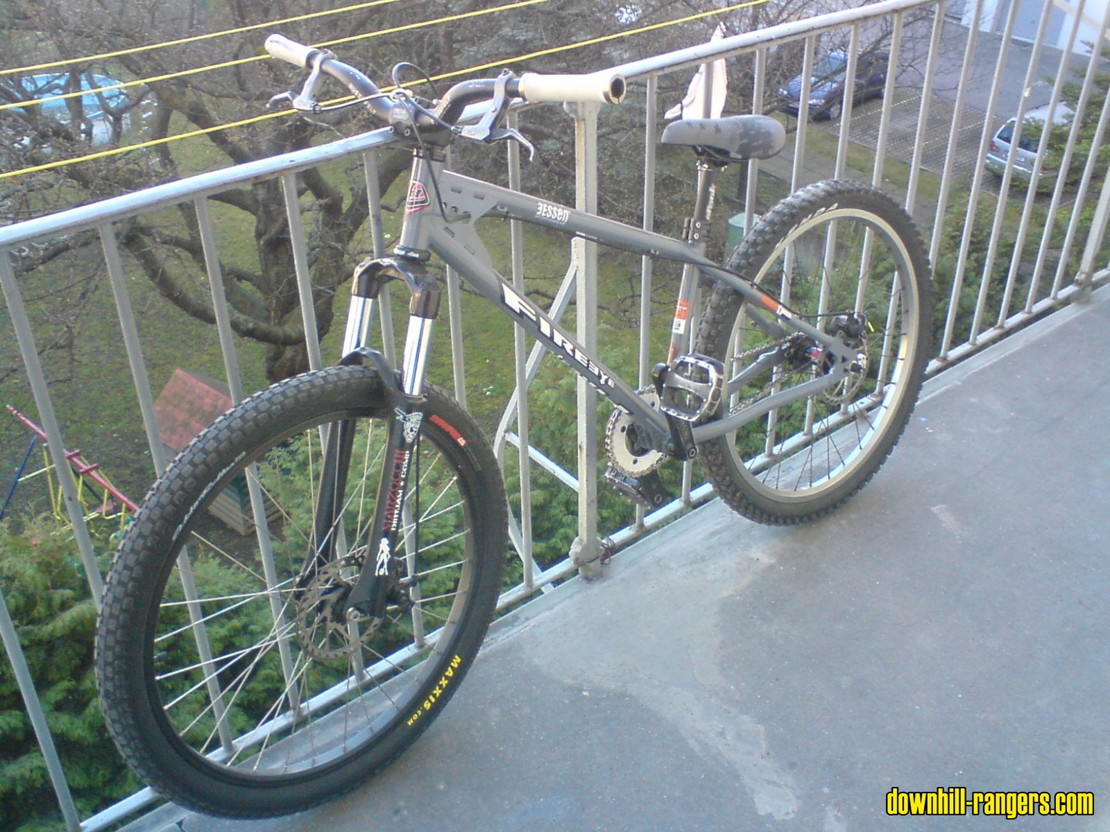 hardi