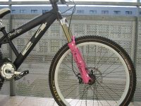 Porno Dirt Jumper 1 '04
Dateiname: DJ1_PK.jpg