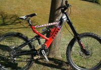 Rotwild
Dateiname: IMG_2843_1.jpg