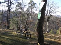 mein touren bike
Dateiname: PICT1622.JPG