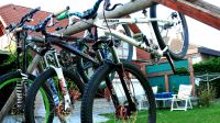 Meine Bikes von der STange
Dateiname: bikes_.jpg