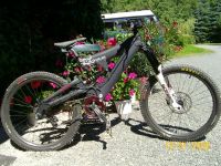 Cove Peeler
Dateiname: dh_board1.jpg