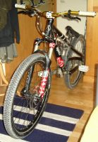 slopestyle fully
Dateiname: dirtsetupnew.jpg