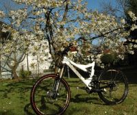 mini dh
Dateiname: f12t429p11586n12_1_.jpg
