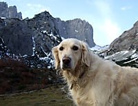 Hundsi
Dateiname: DSCF1081.jpg