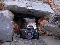 Old School
Dateiname: DSC_00111.jpg