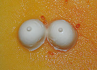 Geile Ti..  K�se mein ich
Dateiname: DSC_7454.jpg