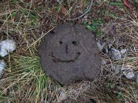 Smile
Dateiname: scheisse.jpg