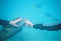 Auch Fische wollen gekrault werden
Dateiname: underwater.jpg