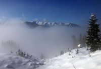 Nebellandschaft
Dateiname: DSCF9312.jpg