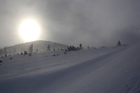 Wintersonne
Dateiname: DSC_0147.jpg