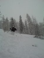 powder
Dateiname: dsc00166hc3.jpg