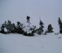 a Powder H�pfli
Dateiname: web.jpg