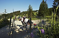 Gravity Card 2017: Bikepark Serfaus-Fiss-Ladis
Dateiname: Bikepark_Serfaus-Fiss-Ladis_Connor_Fearon_Andrew_Crimmins_by_Christian_Waldegger_2.jpg