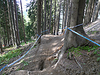 Leogang Trackwalk 1. Wald
Dateiname: P1090964-Leogang-1-Wald.jpg
