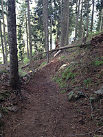 Haideralm Reschenpass Trail-Bau
Dateiname: Bau-Foto-A-1-Haideralm-Enduro-Strecke-Bauphase.jpg