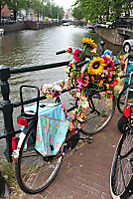 Willkommen in Amsterdam
Dateiname: DSC_9784.jpg