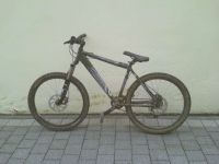 mein bike
Dateiname: mein_bike_19_02_08_1024_x_768_.jpg
